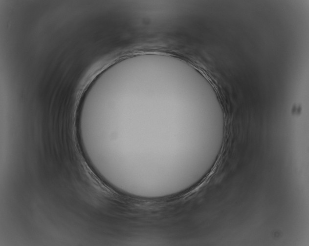 X0000094070293200710191002