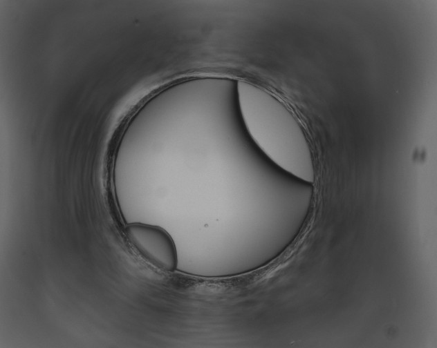 X0000094070294200710191002
