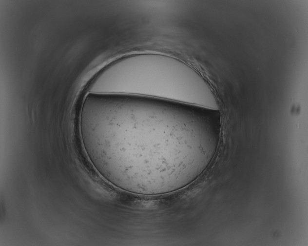 X0000094070295200710191002
