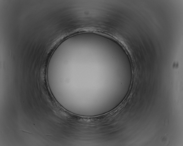 X0000094070297200710191002