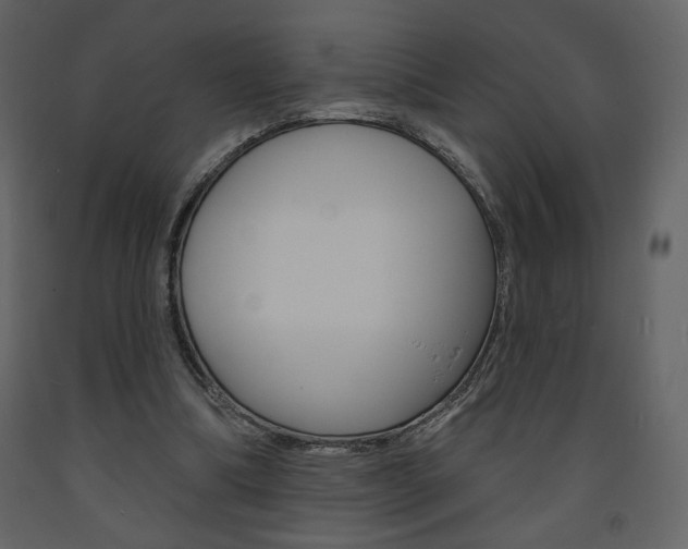 X0000094070298200710191002