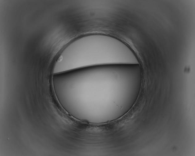 X0000094070299200710191002