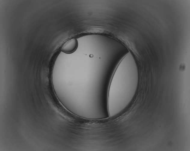 X0000094070300200710191002