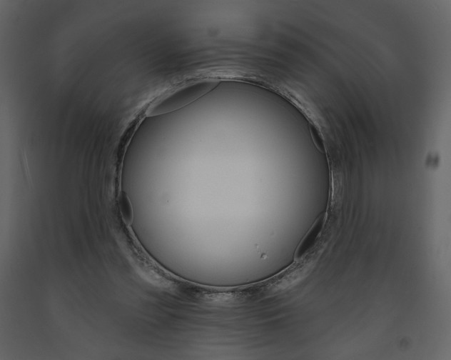 X0000094070301200710191002