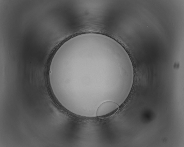 X0000094070302200710191002