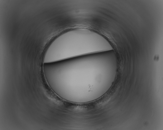 X0000094070303200710191002