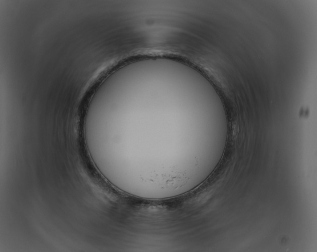 X0000094070304200710191002