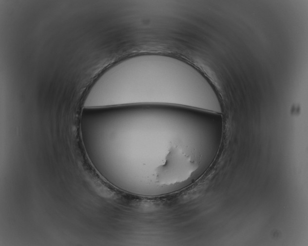 X0000094070305200710191002
