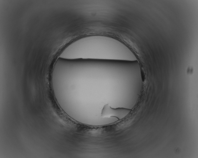 X0000094070306200710191002
