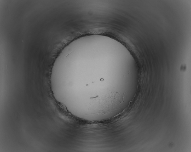X0000094070307200710191002