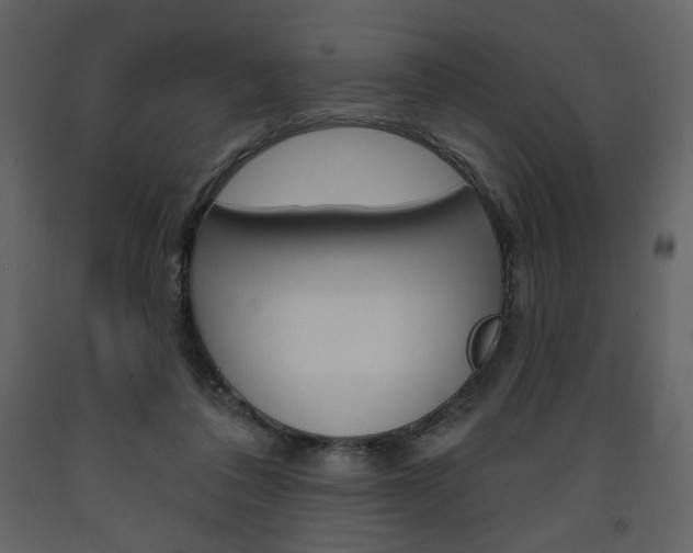 X0000094070308200710191002