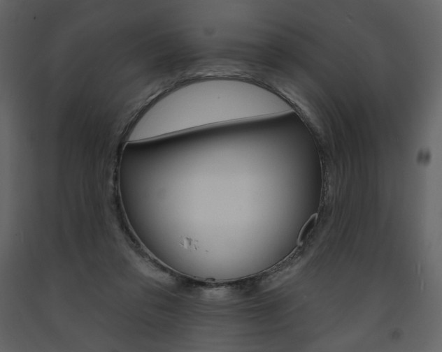 X0000094070309200710191002