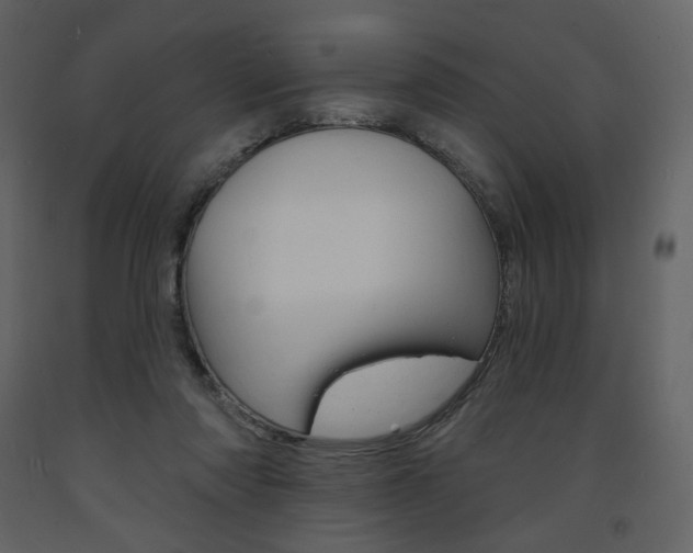 X0000094070310200710191002