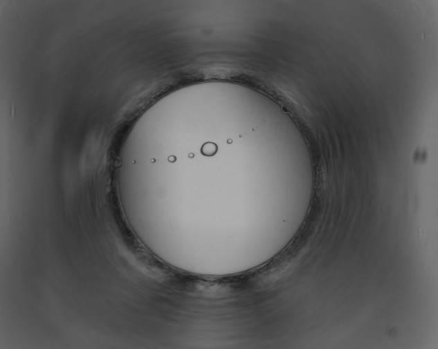 X0000094070311200710191002