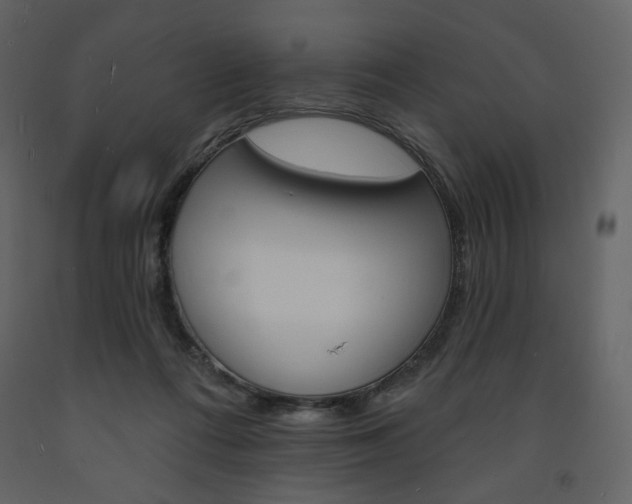 X0000094070312200710191002