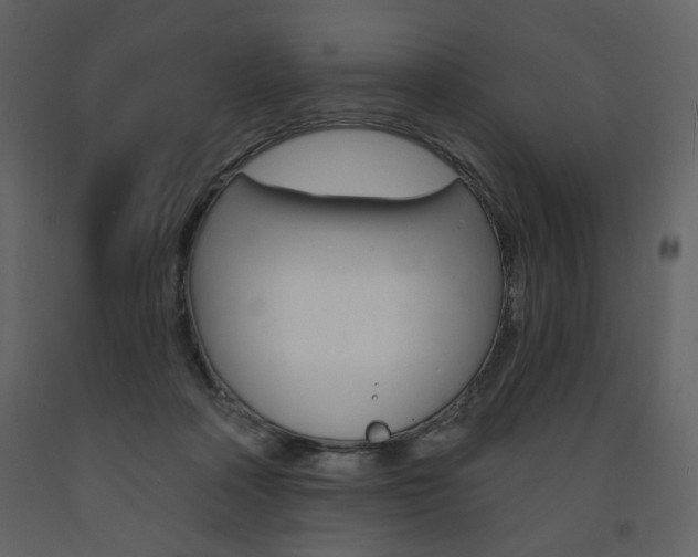 X0000094070314200710191002