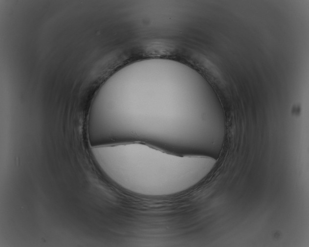 X0000094070315200710191002