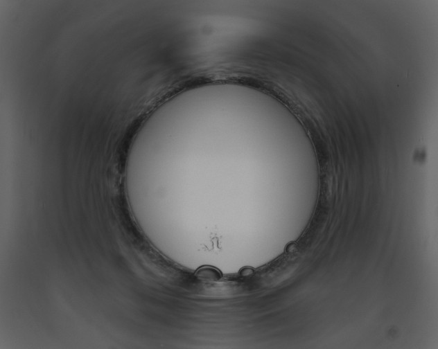X0000094070316200710191002