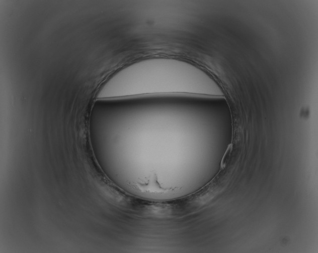 X0000094070317200710191001