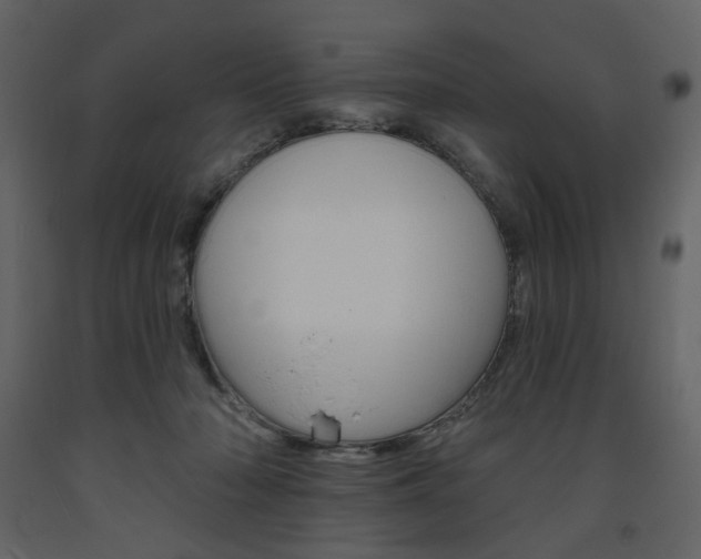 X0000094070318200710191001