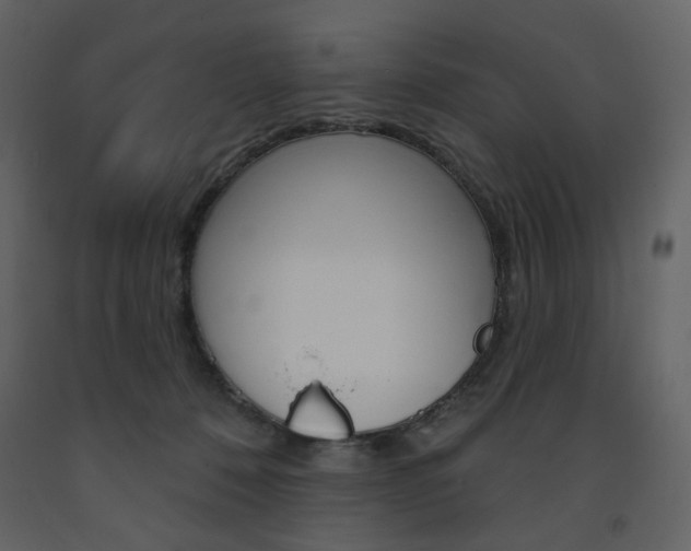X0000094070320200710191001