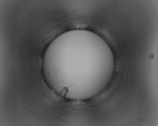X0000094070321200710191001