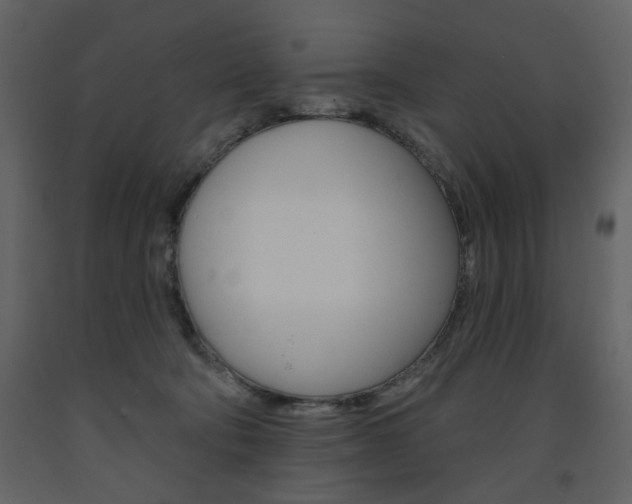 X0000094070322200710191001