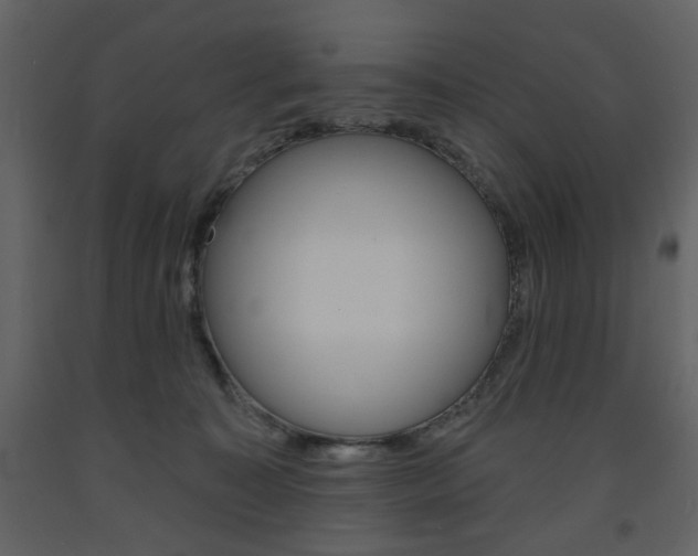 X0000094070323200710191001
