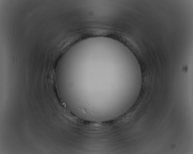 X0000094070325200710191001