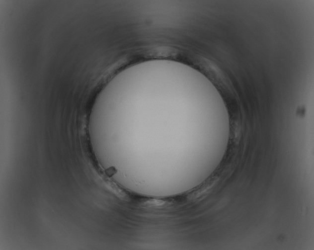 X0000094070326200710191001