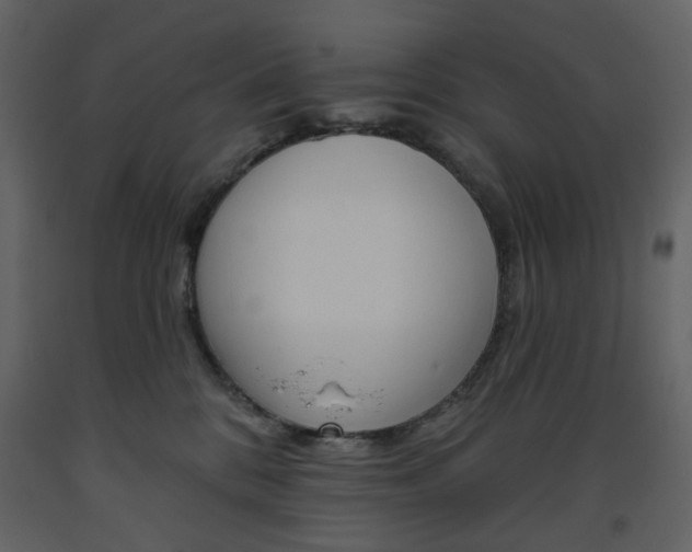 X0000094070328200710191001