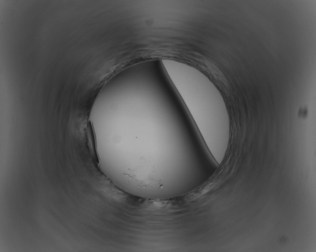 X0000094070329200710191001