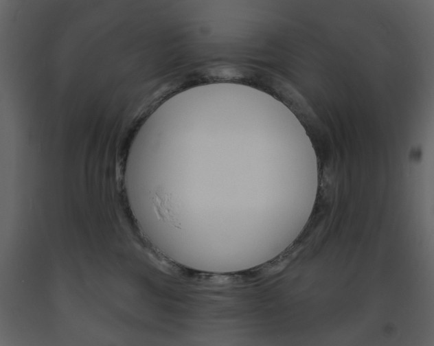 X0000094070330200710191001
