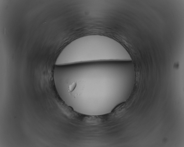 X0000094070331200710191001