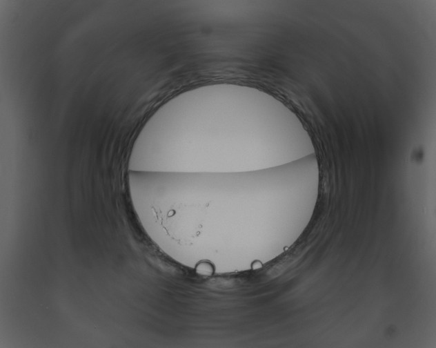 X0000094070332200710191001