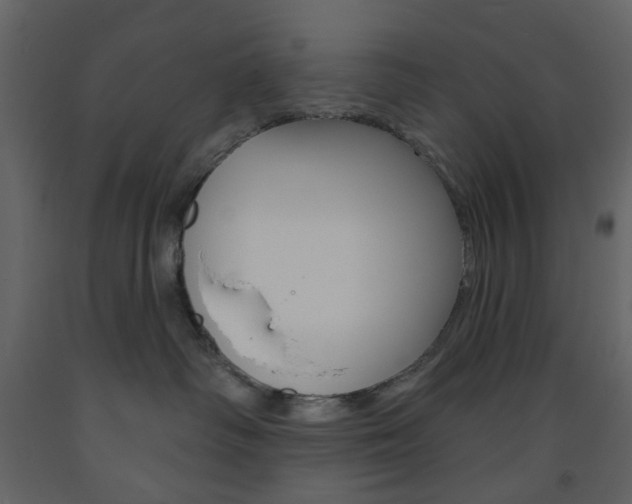 X0000094070334200710191001