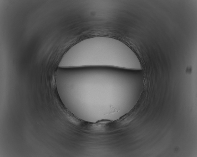 X0000094070335200710191001