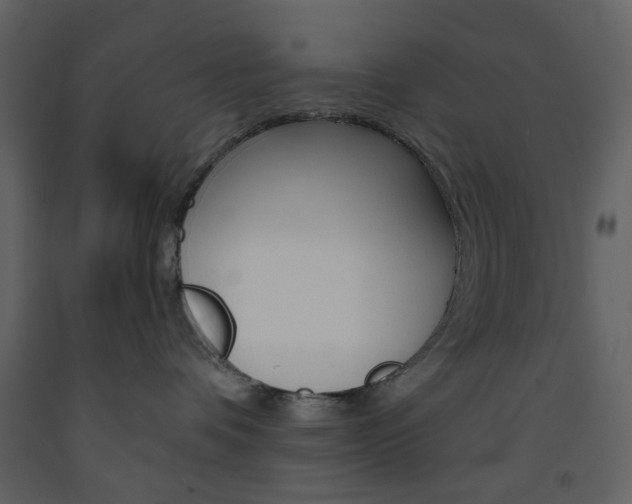 X0000094070336200710191001