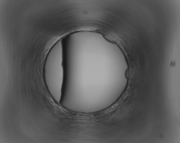 X0000094070337200710191000