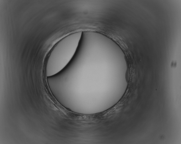 X0000094070338200710191000