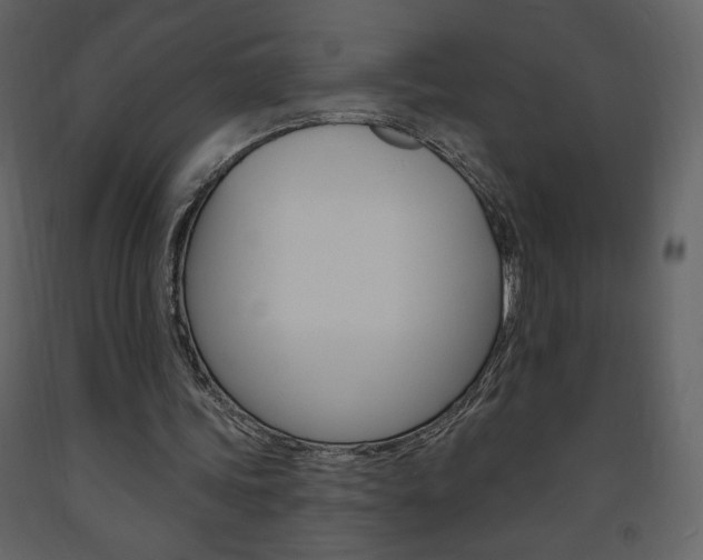 X0000094070339200710191000