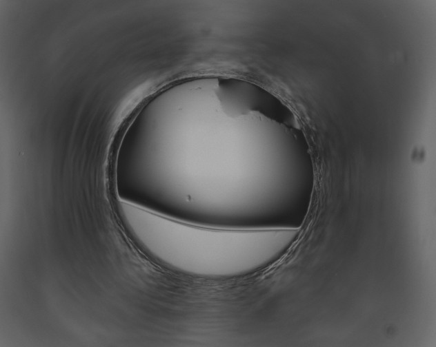 X0000094070340200710191000