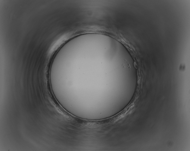 X0000094070341200710191000
