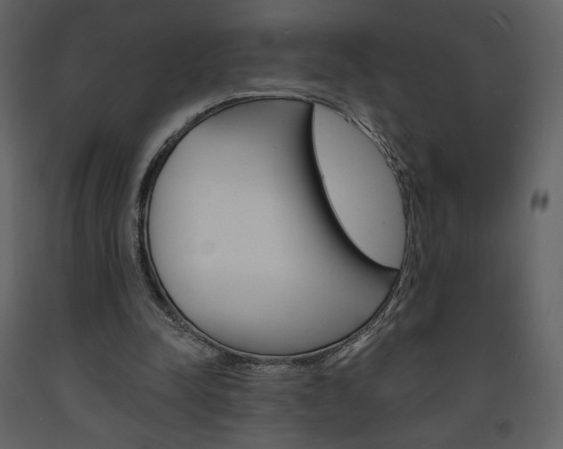 X0000094070342200710191000