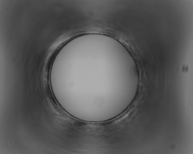 X0000094070343200710191000