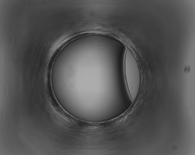 X0000094070344200710191000