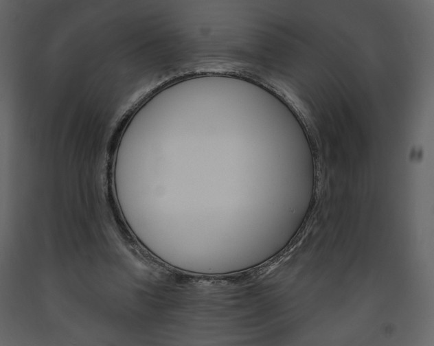 X0000094070346200710191001