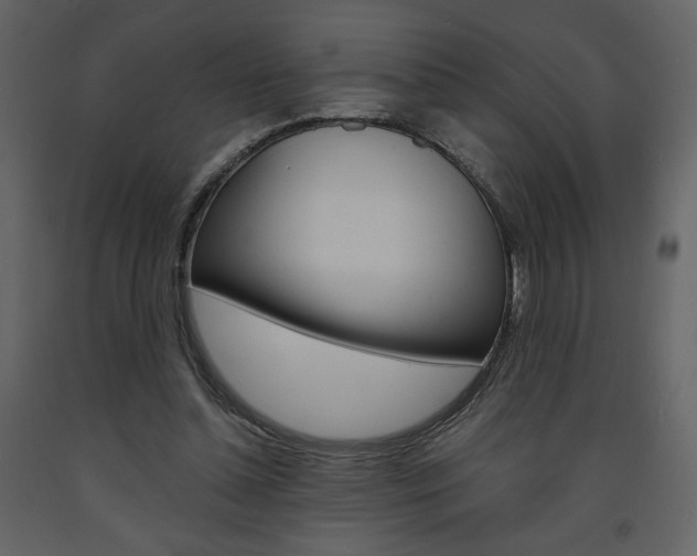 X0000094070348200710191001