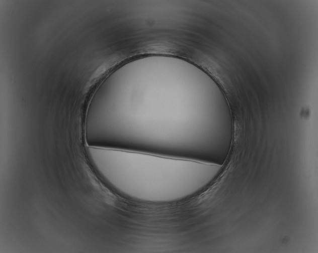 X0000094070349200710191001