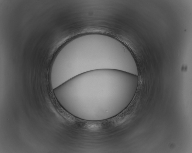 X0000094070352200710191001